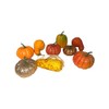 Fall Harvest Decorative Gourd Set of 9, Artificial Pumpkins and