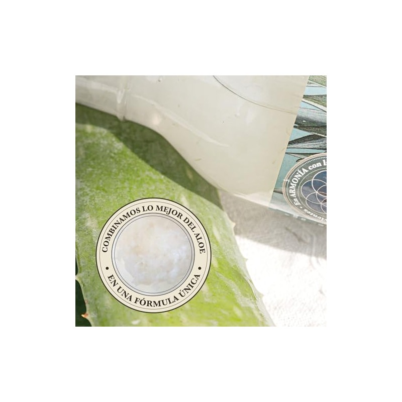 Boutique Herbal ALOE FUSIN Pulpa y Concentrado comestible natural 360ml