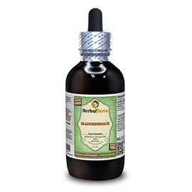Bladderwrack (Fucus Vesiculosus) Glycerite, Dried Whole Plant Alcohol-Free Liquid Extract (Brand Name: HerbalTerra, Proudly Made in USA) 4 fl.oz (120 ml)