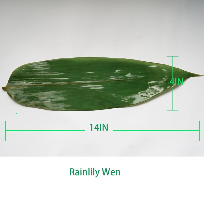Rainlily Wen Bamboo Leaves 200 Pcs Fresh Zongzi Leaf Banana