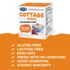 Vivo Cottage Cheese Starter. Box of 5. Makes up to
