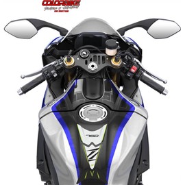 Tank Pad Tank Pad Motorcycle 3D Compatible with Kawasaki Z750 Z 750 Grey/Green/Black, 21 x 12 cm, Gift
