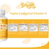 Yapila Liposomale Vitamin C Kapseln 2000mg (4 Packung), Maximale Absorption,