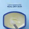 Petroleum Jelly, 1.75 oz, 2 pk