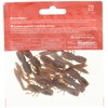 Mega Bath (Megabass) Worm Worms 仕込 Bottle Shrimp (botorusyurinpu) (2.4inch)