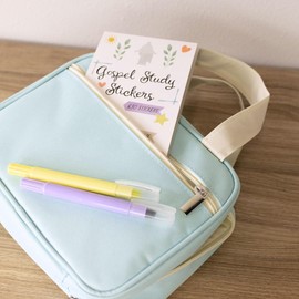 LDS Quad or Triple & Bible Scripture Carrying Case - Light Blue with Handles and Zipper Pouches Bag Tote