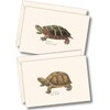 Earth Sky + Water - Freshwater Turtle Assortment Notecard Set