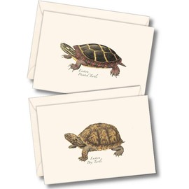 Earth Sky + Water - Freshwater Turtle Assortment Notecard Set - 8 Blank Cards with Envelopes (4 each of 2 styles)