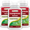 Best Naturals Pomegranate Extract 250 mg 250 Capsules (250 Count