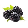 OliveNation Black Raspberry Flavor Fountain, Sugar-Free Water Soluble Beverage Flavoring,