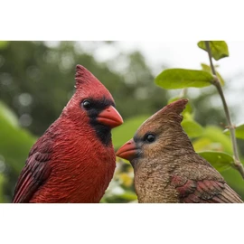 Cardinal Couple on Stump Garden Statue
