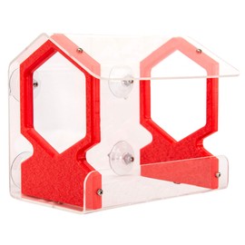 JCs Wildlife Geometric Diner 9 Window Bird Feeder - Easy to Clean and Fill - Holds 3 Cups of Seed - Mounts on Any Window - Clear Acrylic and Strong Suction Cups (Red)