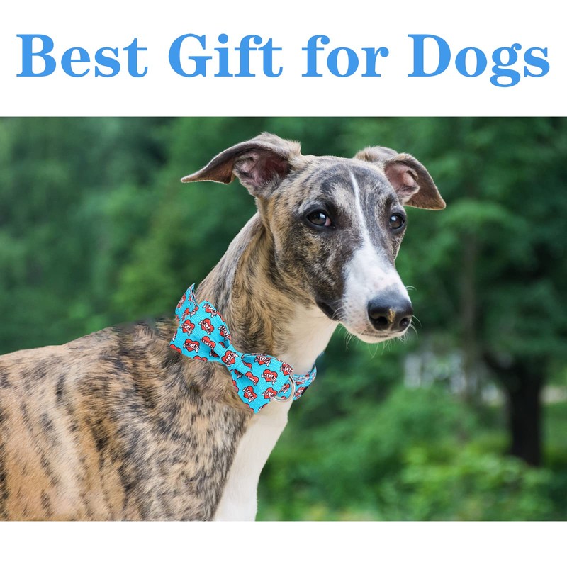 Unique style paws Dog Collar with Bow Tie Blue Heart