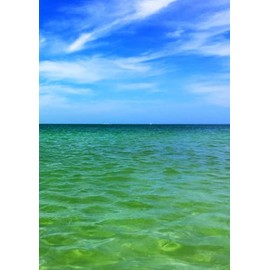 Blue Green Water Scene Cornell Notes Notebook: Dot Journal: 2 Page Topics Size A4 (8.25in x 11.75in): Cornell Structured Note Format Method Dot Journal 300 pages