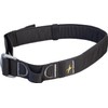 Rockteryx RTGB45 Climbing Climbing Harness Guide Belt, Black (BLK) L