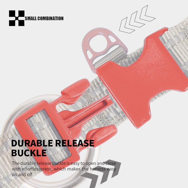 Small Combination Adjustable Pet Dog Collar, Turquoise and Black (Watermelon