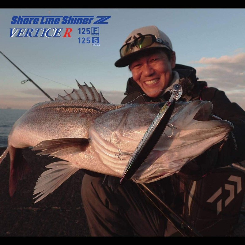 Daiwa Shoreline Shiner Z Vertis R125F Sea Bass Minnow Lure,