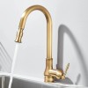 Rozin Kitchen Faucet Pull Out Spray Single Handle Sink Swivel