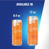 Red Bull Amber Edition Strawberry Apricot Energy Drink, 8.4 Fl