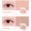 DASIQUE Blooming Single Shadow 1.8g, Color:10 Berry taupe
