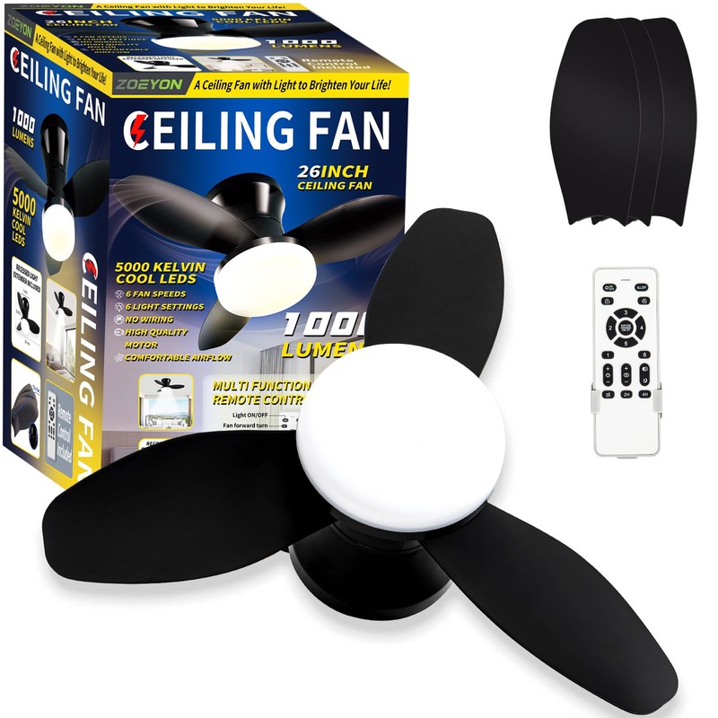 ZOEYON Small Ceiling Fan with Light - 26 Inch Flush