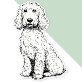 Extra Large 460mm 'Golden Doodle Dog Sitting' Permanent Sticker Decal for Cars/Windows/Bins/Walls (DW00130795)