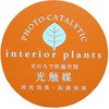 Cute Round Photocatalyst Houseplant