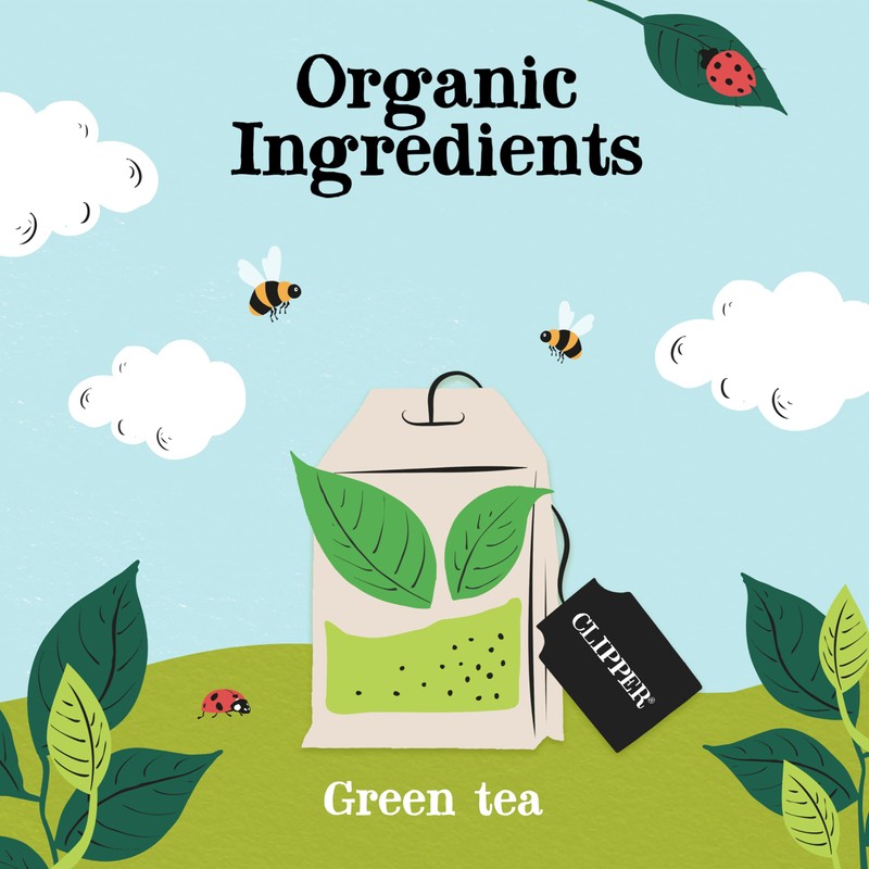 Clipper Organic Pure Green Tea, 20 teabags