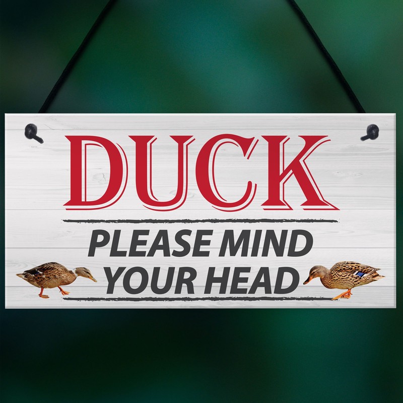 RED OCEAN DUCK! Please Mind Your Head Friendship Home Gift