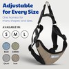 AKC Premium Padded Step-in Dog Harness – Soft Comfort Fit