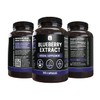 PURE ORIGINAL INGREDIENTS Blueberry Extract (365 Capsule), No Magnesium Or