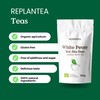 White Tea Organic White Peony 100g (50 Cups) | Bai