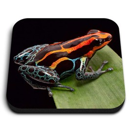 1 x Square MDF Fridge Magnet - Poison Dart Frog Rainforest Frogs 46141