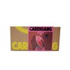 Cardigang 100% Wool Kane Beginner Scarf Knit Kit - Pinks