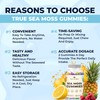 TrueSeaMoss Irish Sea Moss Gummies with Burdock Root & Bladderwrack