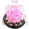 Preserved Pink Real Rose with LED Light eternal flowers rose