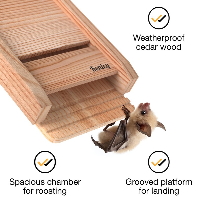 Kenley Bat House - Outdoor Bat Box Shelter with Large