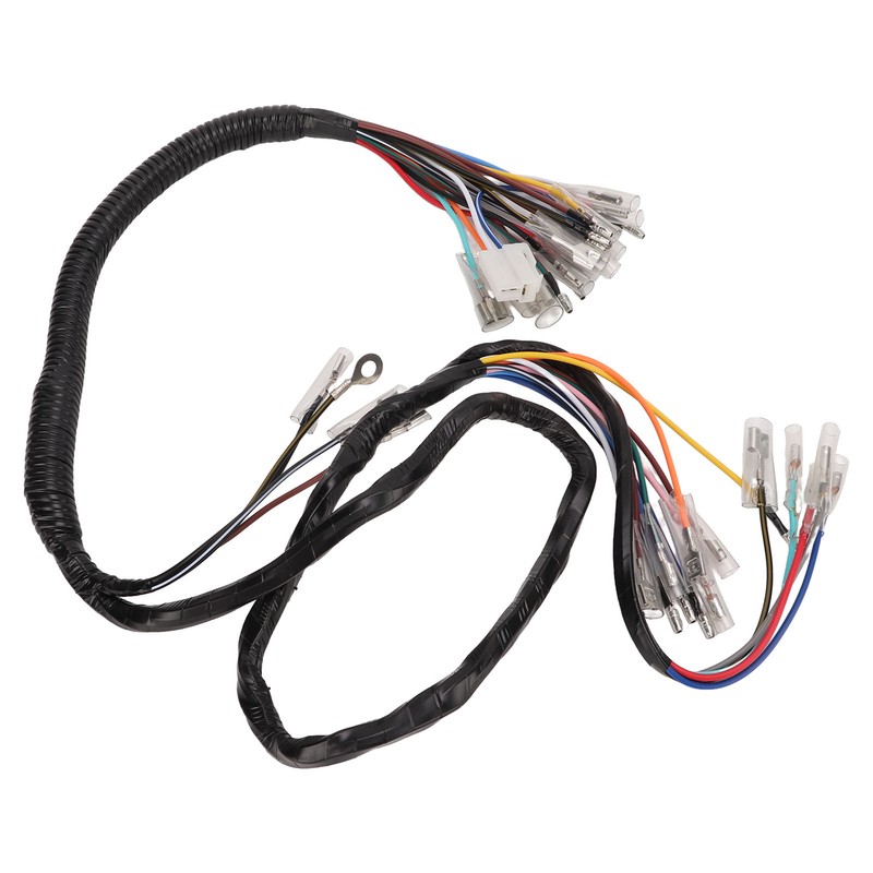 Vehicle Complete Main Electrical Wiring Harness with Connectors Automotive Replacement