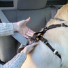Kurgo TRU-Fit Dog Harness, Crash Test-Proven Car Seat Belt, for