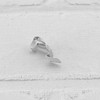 Create idea 12PCS Photo Frame Clips Picture Hanger Fastener Artwork