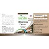 Fairvital Pleurotus Extract 500 mg - High Dose - Pleurotus