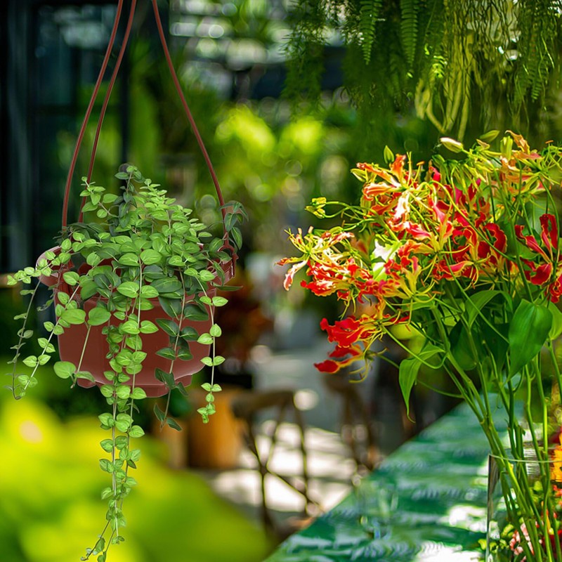Mipcase 10 Pack Hanging Planters, Hanging Pots for Plants Indoor