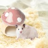 Nizirioo Unique hamster house ceramic: durable hamster hideout, hamster house