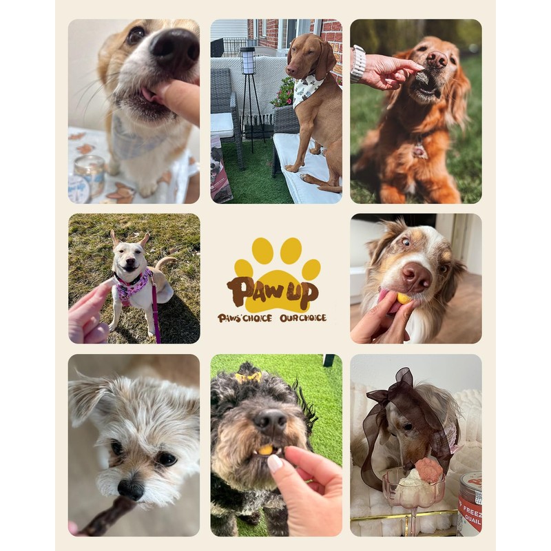 PAWUP Freeze Dried Chicken Dog Treats with Edible Rawhide Stick,