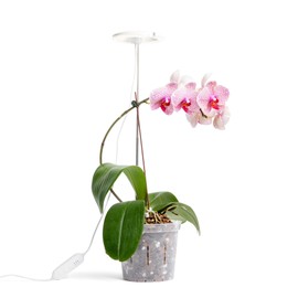 rePotme Grow Light for Orchids, Lumina Orchid, Full Spectrum Plant Light with Adjustable Height and Automatic Timer (White)