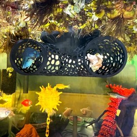 Tronco flotante para peces betta, túnel y hamaca para escondite, cueva de descanso para peces pequeños o camarones, alimentador flotante, anillo de alimentación, decoración para acuario (negro)