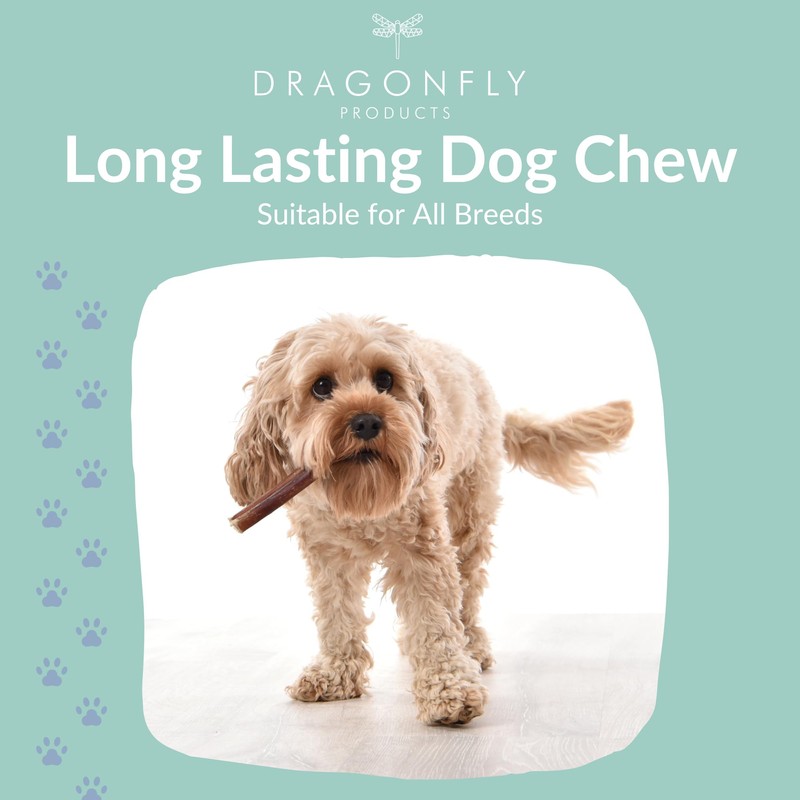 Dragonfly Products Puppy Bully Sticks for Puppies & Toy Breeds,