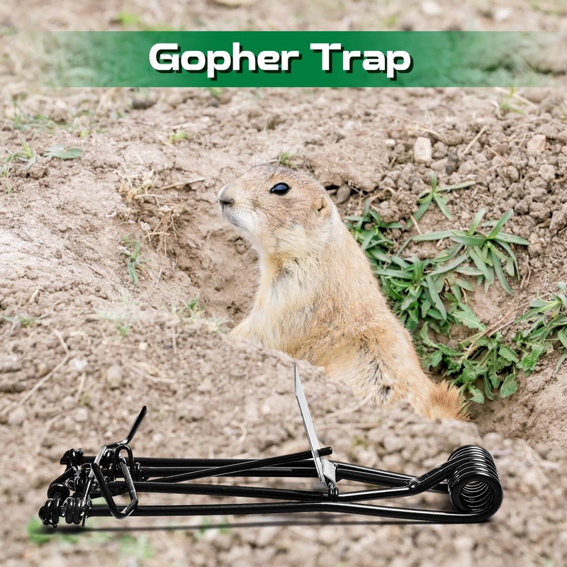 Qualirey 4 Pcs Outdoor Gopher Trap Easy Set Mole Trap