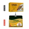 Girnar Instant Tea Premix with Masala 36 Sachets
