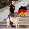 Nature Pet Dog Carry Aid Rear / Dog Walking Aid
